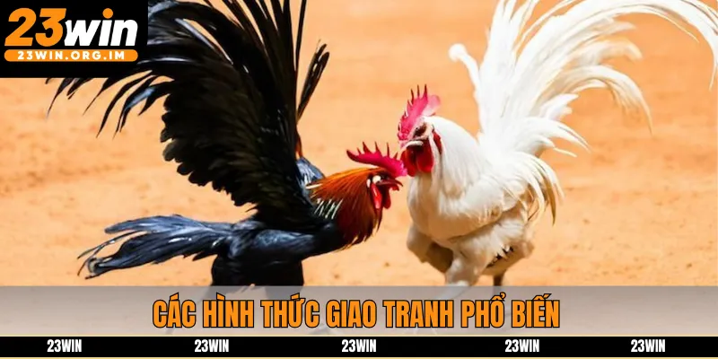 Các hình thức giao tranh phổ biến